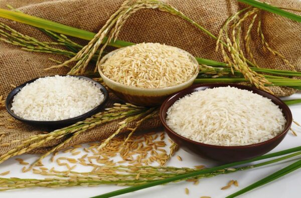 Premium Long Grain Rice