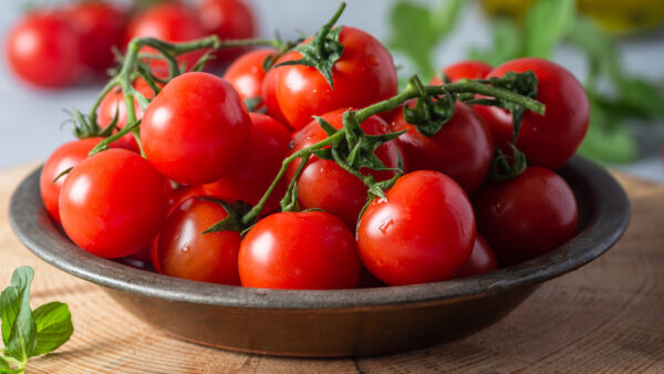 Fresh Tomatoes
