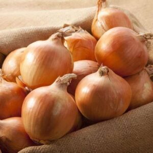 Onions (Yellow)