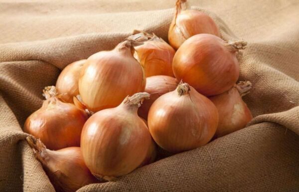 Onions (Yellow)